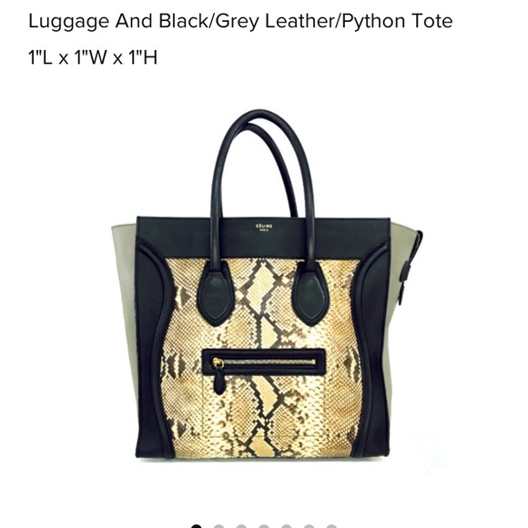 Celine Python 🐍 Handbag - Picture 1 of 13